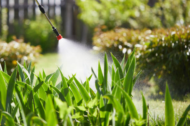 24/7 Emergency Ant Control experts in Iona, FL